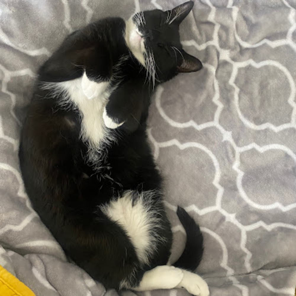 Meet your Posher, Stephanie